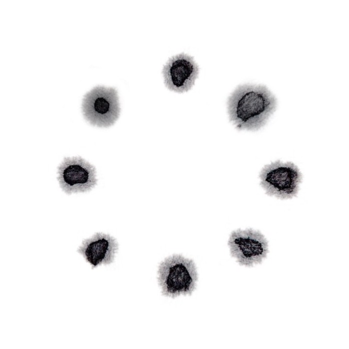 トップページに戻る